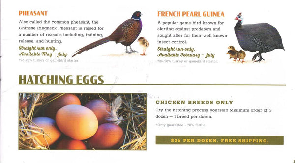 Poultry, Waterfowl, Gamebird and Fertile Hatching Eggs